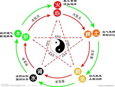 心 五行|心字的五行属什么